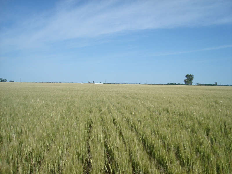 Vista hacia el Oeste - View to the West