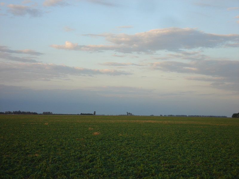 Vista hacia el Norte - View to the North