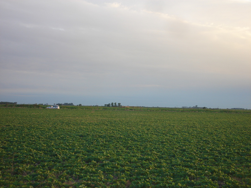 Vista hacia el Sur - View to the South