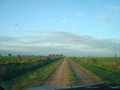 #8: Bellos y tranquilos caminos rurales - Beautiful and quiet rural paths