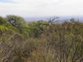 #6: Vista Oeste hacia valle de Conlara.