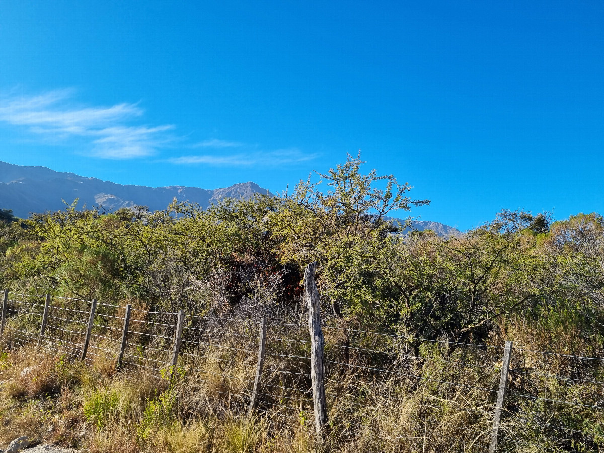 Vista hacia el este - View toward the east