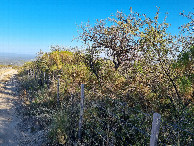 #3: Vista hacia el oeste - View toward the west