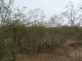 #4: Vista al Oeste