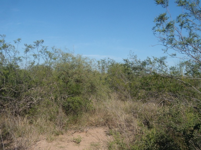 Vista hacia el Oeste - View to the West