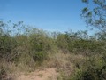 #2: Vista hacia el Oeste - View to the West