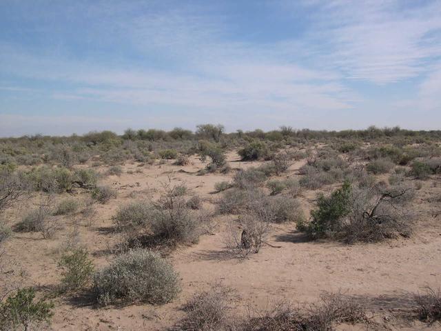 Vista hacia el Norte