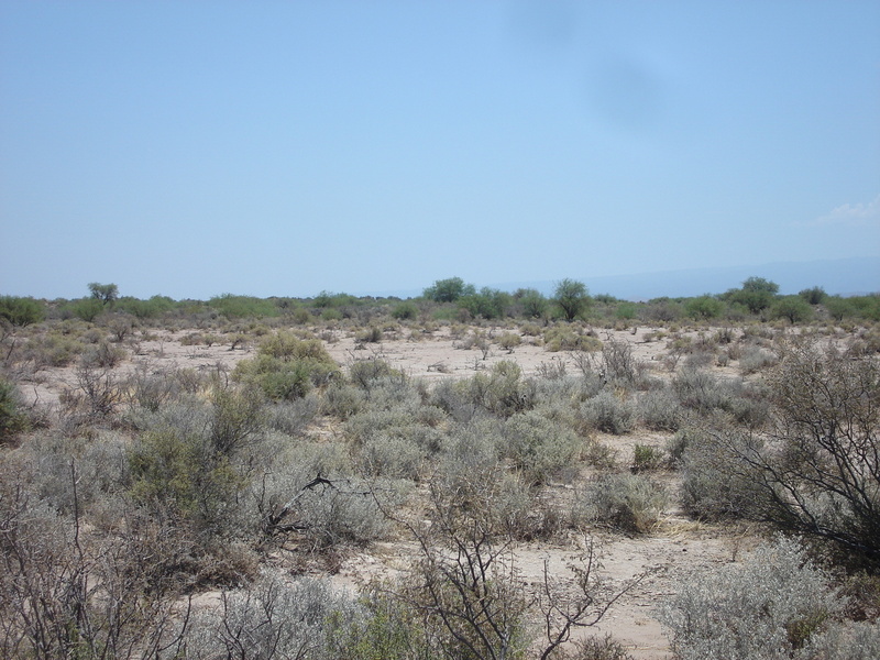 Vista general del area hacia el norte- General overview of the area to the north