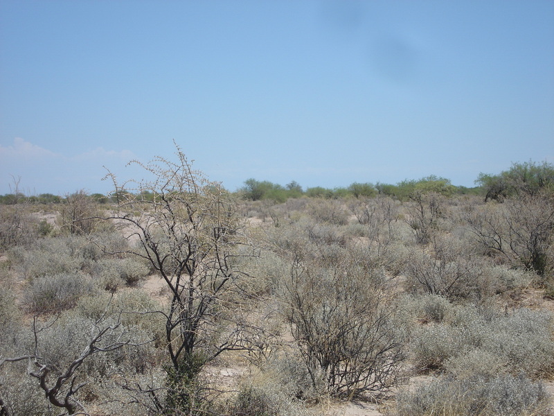 Vista hacia el Oeste - View to the West