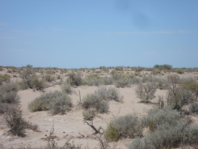 Vista hacia el Sur - View to the South