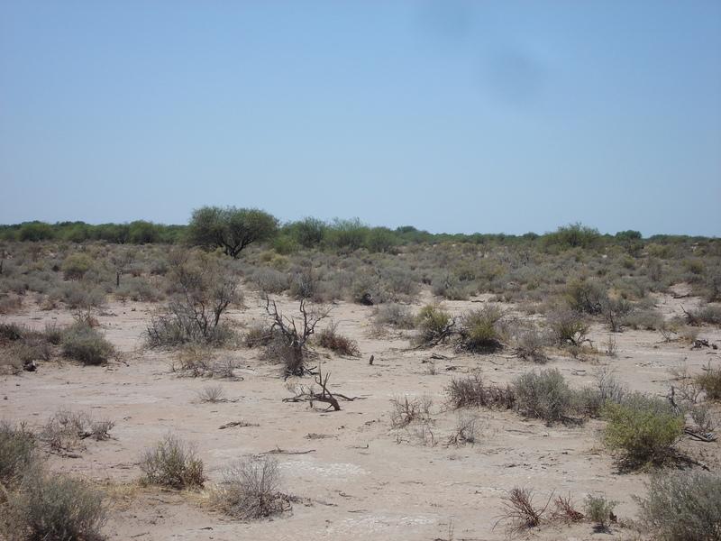 Vista hacia el Este - View to the East