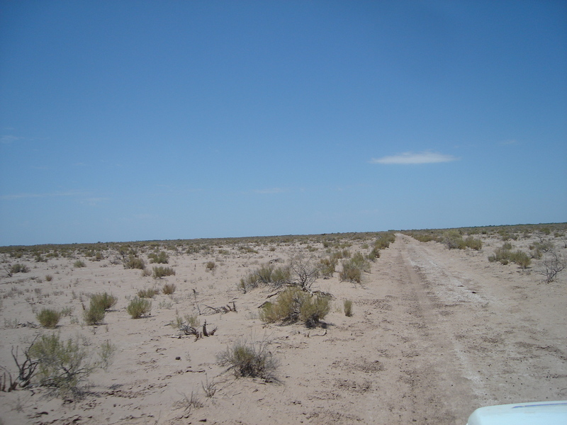 Camino cerca de la confluencia - Track near of the confluence