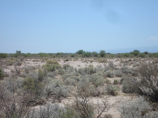 #1: Vista general del area hacia el norte- General overview of the area to the north