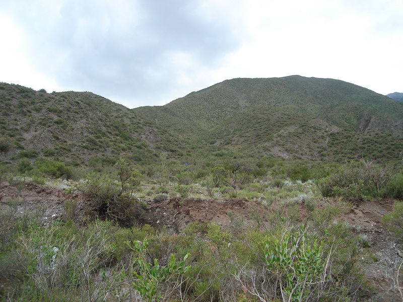 Vista General del area  General overview of the area