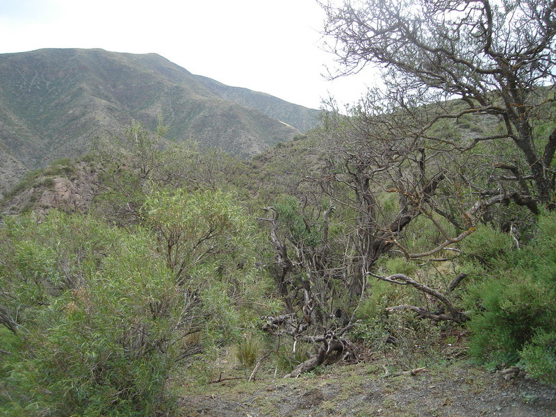 Vista hacia el Oeste - View to the West