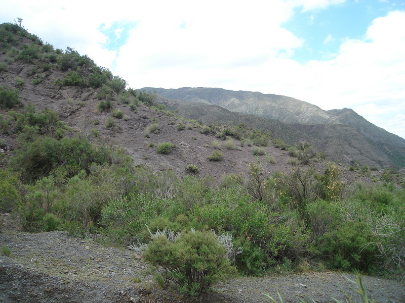 Vista hacia el Este - View to the East