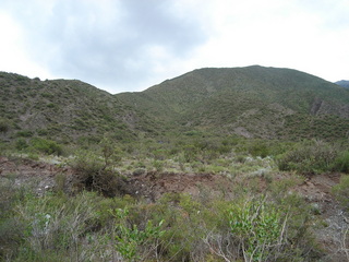 #1: Vista General del area  General overview of the area