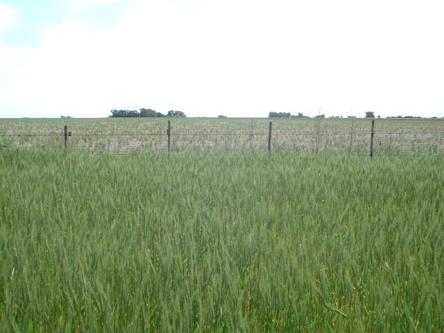 View to the North