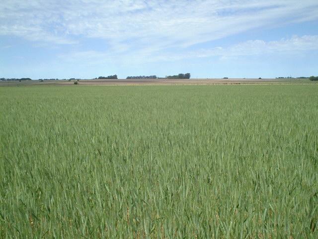 View to the South