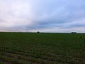 #2: Norte. North