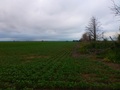 #6: View confluence zone from 200 meters away in the farmer