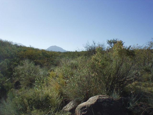 Vista al Norte