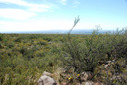 #3: View to the East