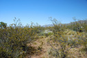 #4: View to the South