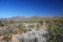 #5: View to the West