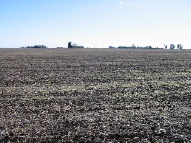Vista Oeste / West View