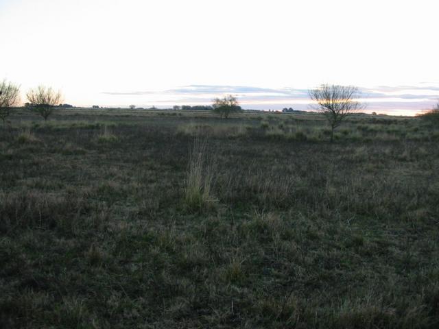 Vista Oeste / West View