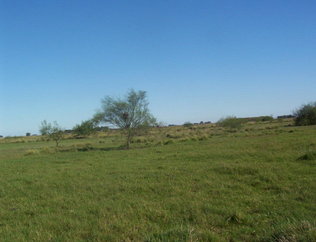 #1: Oeste