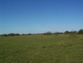 #2: Sur