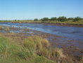 #5: Arroyito
