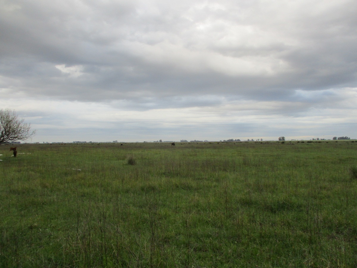 Vista Este. East view