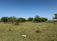 #2: La vista hacia el Sur> South view