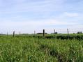 #3: Vista hacia el Sur // South view