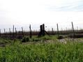 #4: Vista hacia el Oeste // West View