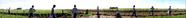#8: West-East Panorama