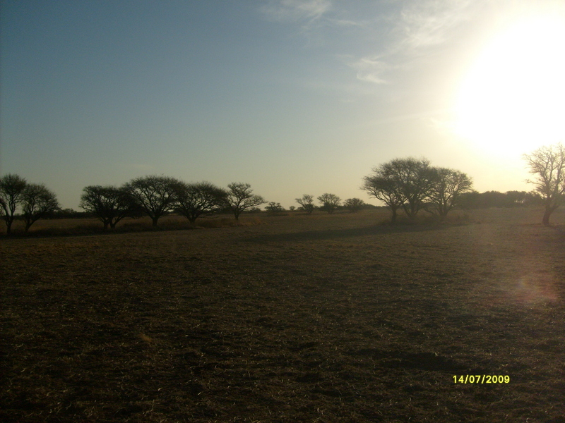 Vista hacia el oeste. West view