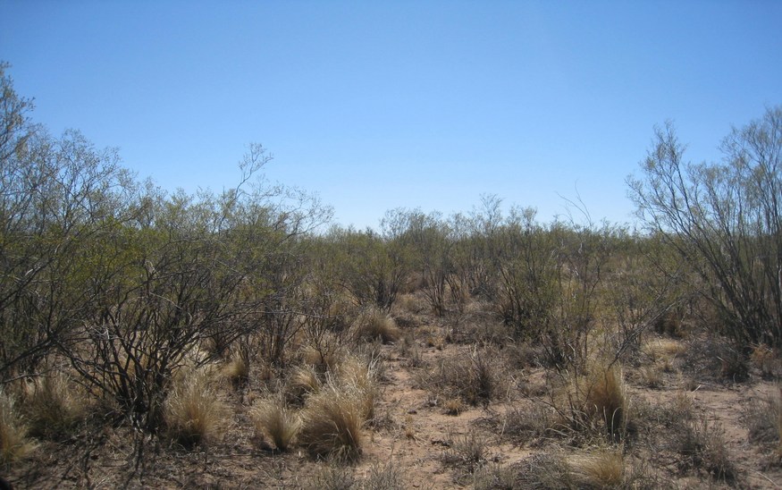 Vista al Norte. North view