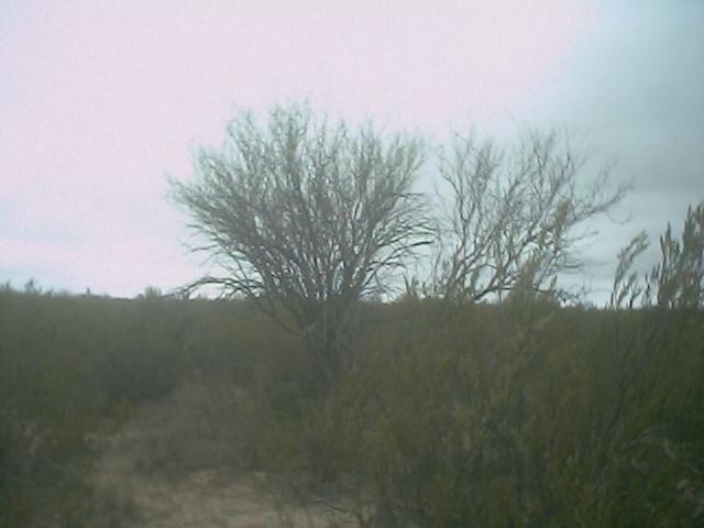 Vista hacia el Norte