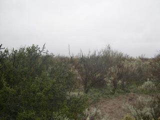 #1: Vista hacia el Este