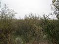 #2: Vista hacia el Norte