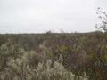 #3: Vista hacia el Oeste (West).