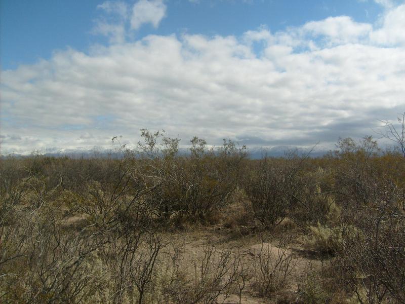 Vista al Oeste