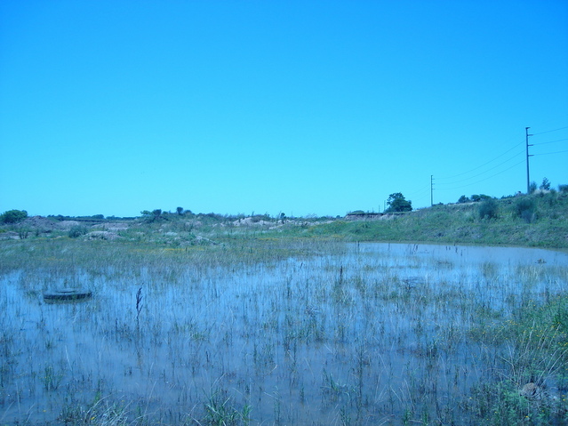 Vista hacia el Sur - View to the South