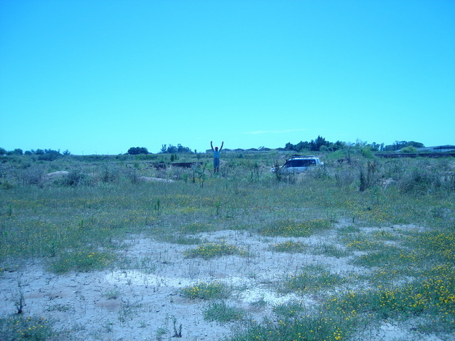 Vista hacia el Este - View to the East