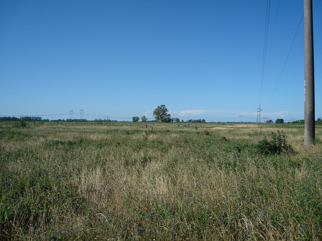 Vista hacia el Norte - View to the North