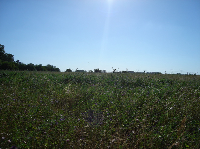 Vista hacia el Oeste - View to the West